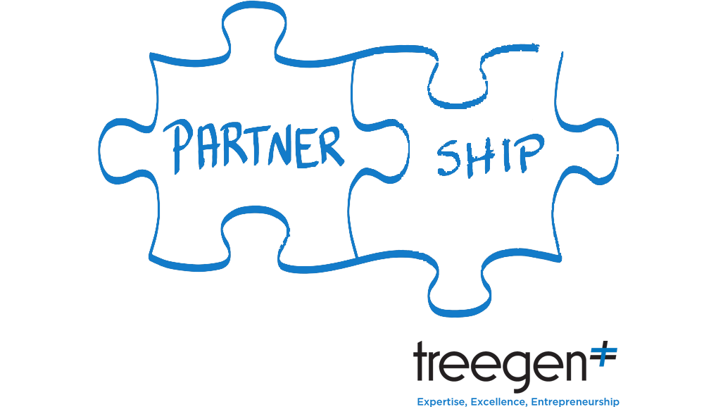 How do you effectively manage partnerships?